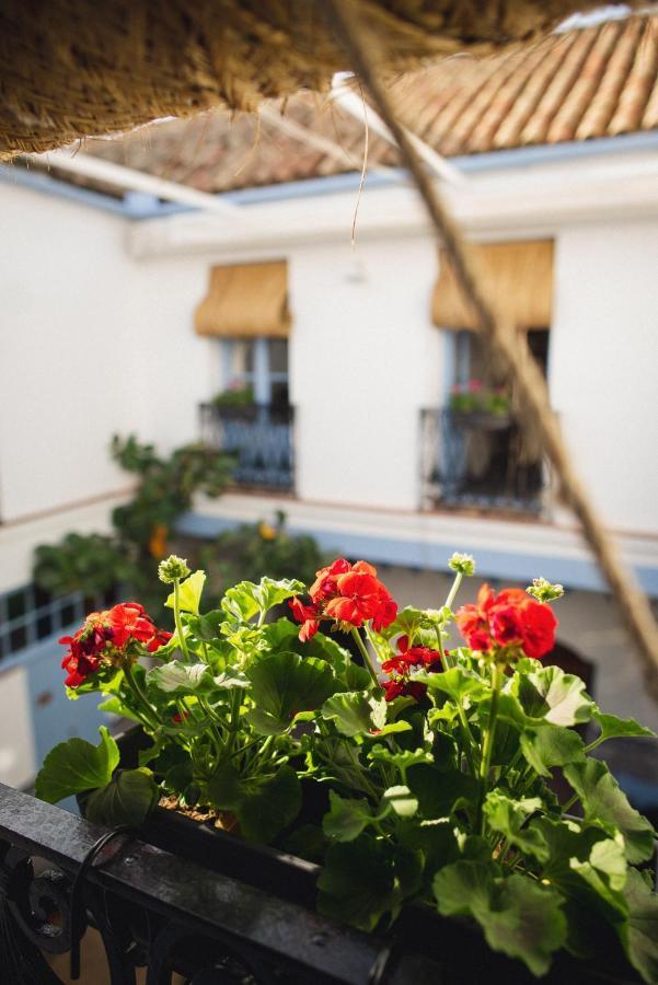 Casa Sirfantas Apartment Cordoba Ngoại thất bức ảnh